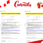 Từ Lần Từ Chối Năm 2018 Đến Visa Du Lịch Canada Thành Công Sau 3 Tuần